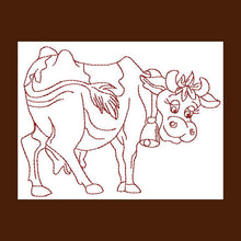 Load image into Gallery viewer, FALSE